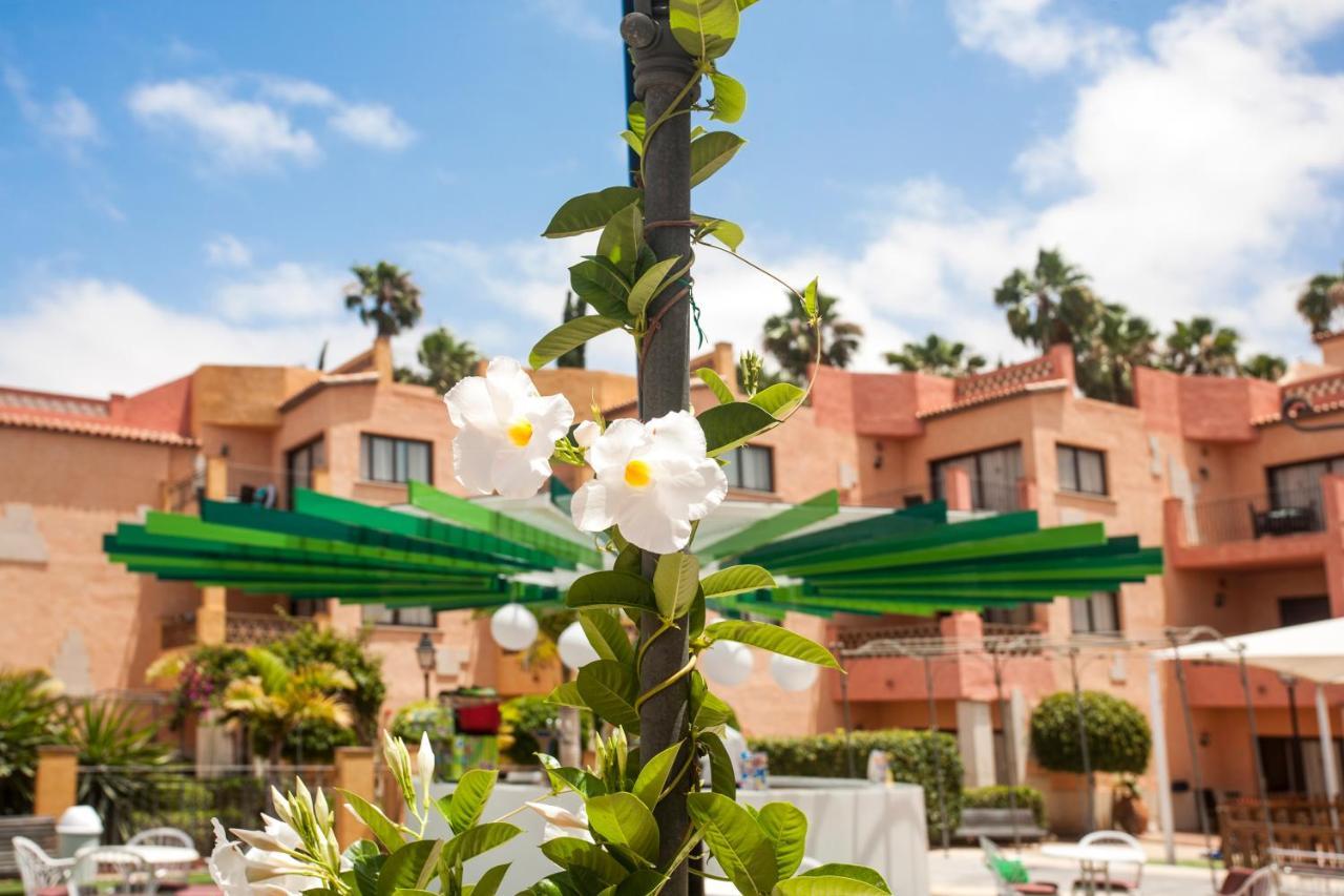 Villa Mandi Golf Resort Playa de las Americas  Luaran gambar